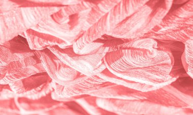 Doku, arka plan, desen, koleksiyon, buruşuk ahududu kırmızı