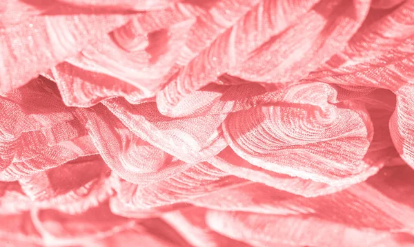 Doku, arka plan, desen, koleksiyon, buruşuk ahududu kırmızı