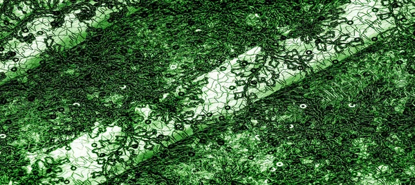 Texture, motif, tissu dentelle en vert sur fond blanc. Th h — Photo
