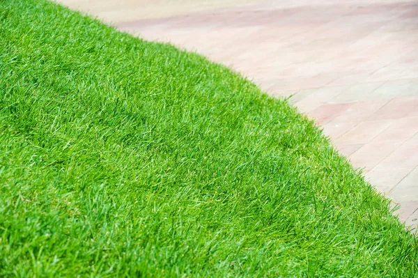 Urban photography, A lawn is an area of soil-covered land plante — Stock Photo, Image