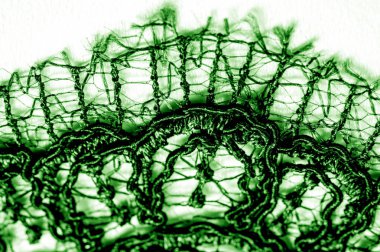 Doku, desen, beyaz bir arka plan üzerinde yeşil dantel kumaş. Th