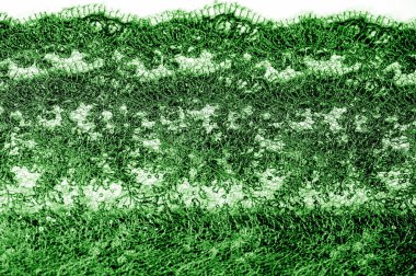 Doku, desen, beyaz bir arka plan üzerinde yeşil dantel kumaş. Th