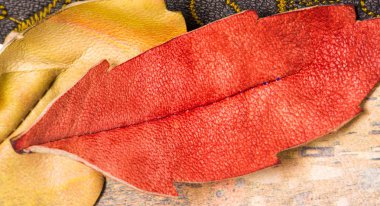 doku arka plan deseni. dekoratif hayvan derisi, parlak renk