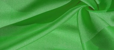 İpek kumaş, orman yeşili. Fotoğraf için tasarlanmıştır, iç, 
