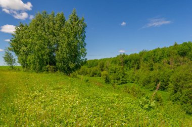 Bahar fotoğrafçılığı, çayırlar, tarlalar, vadiler, tepeler, kırsal alanlar. Dik yamaçlı, derin, dar bir vadi..