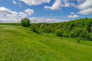 Bahar fotoğrafçılığı, çayırlar, tarlalar, vadiler, tepeler, kırsal alanlar. Dik yamaçlı, derin, dar bir vadi..