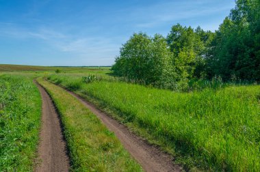 Yaz manzarası, bunaltıcı yaz günleri, kırsal yol, yonca tarlaları, mısırlar...