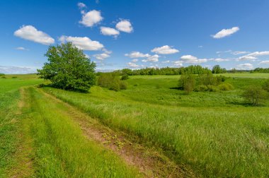 Bahar fotoğrafçılığı, çayırlar, tarlalar, vadiler, tepeler, kırsal alanlar. Dik yamaçlı, derin, dar bir vadi..