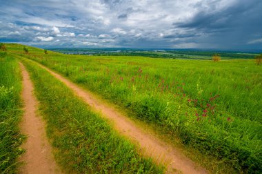 Yaz manzarası, büyük bir nehir, nehrin kıyısında çayır çiçekleri, gökyüzünde güçlü bulutlar, Kama Nehri boyunca bir turist yürüyüşü.