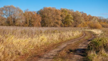 Sonbahar fotoğrafçılığı, nehrin taşkın ovası, ama şimdiye kadar sadece sonbahar altın, ne yağmur ne de rüzgar var, ve altın yaprak yeryüzüne uçuyor, ruhun özlemle doluyor..