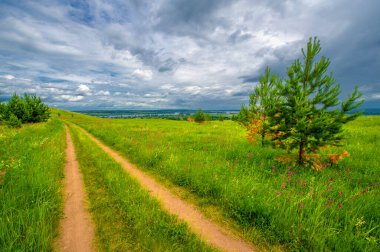 Yaz manzarası, büyük bir nehir, nehrin kıyısında çayır çiçekleri, gökyüzünde güçlü bulutlar, Kama Nehri boyunca bir turist yürüyüşü.