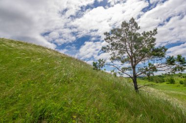Bahar fotoğrafçılığı, çayırlar, tarlalar, vadiler, tepeler, kırsal alanlar. Dik yamaçlı, derin, dar bir vadi..