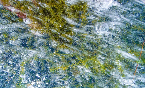 There is frost on the street, ice on the river, ice bubbles stuck in ice, unusually colorful ice architecture