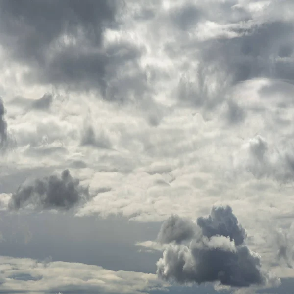 Fotografi Satwa Liar Awan Cumulus Datar Dasar Dan Sering Digambarkan — Stok Foto