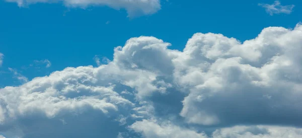 Фотографія Дикої Природи Хмари Кумулуса Плоскі Основи Часто Описуються Пухнасті — стокове фото