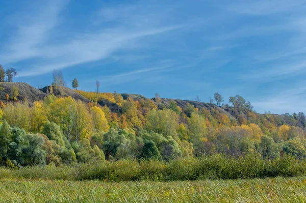 Herbstlandschaftsfotografie Bunte Blätter Den Bäumen Der Herbstpore Der Zauber Der — Stockfoto