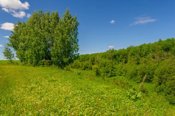 Spring Photography Meadows Fields Ravines Hills Rural Landscape Deep Narrow — Stock Photo, Image