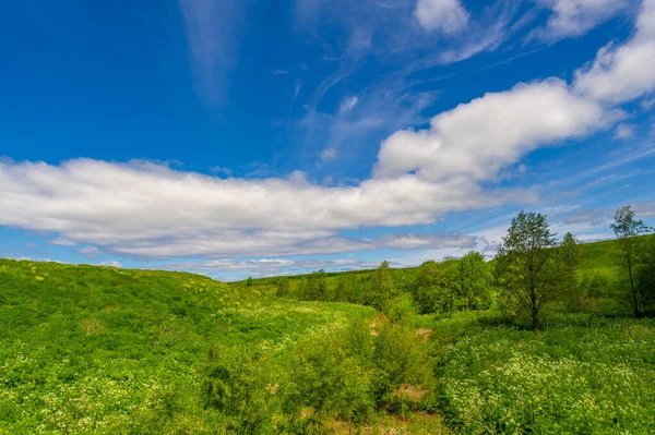 Fotografía Primavera Prados Campos Barrancos Colinas Paisaje Rural Profundo Estrecho — Foto de Stock