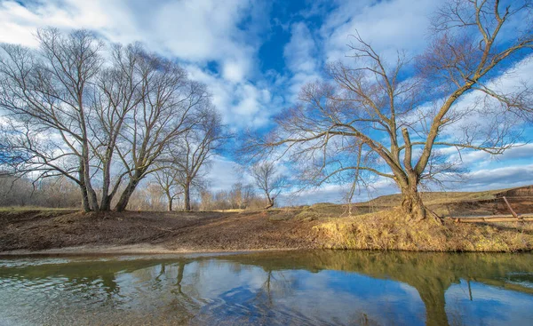 Paesaggio Invernale Autunno Novembre Alla Fine Del Mese Una Stagione — Foto Stock