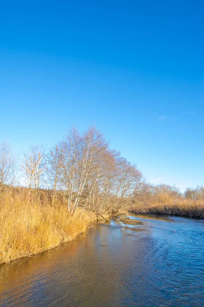 Autumn winter landscape, november. The end of the month. A sad, gloomy season, nature is waiting for snow,