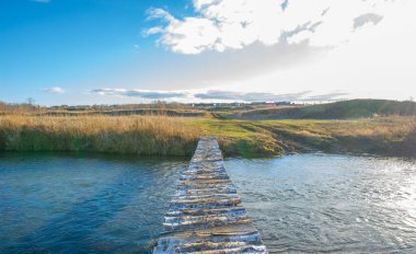 Sonbahar kış manzarası, Kasım. Ay sonuna kadar. Üzücü, kasvetli bir mevsim, doğa karı bekliyor.,