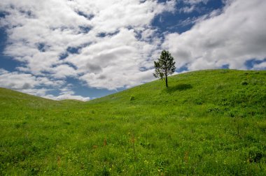 Bahar fotoğrafçılığı, çayırlar, tarlalar, vadiler, tepeler, kırsal alanlar. Dik yamaçlı, derin, dar bir vadi..