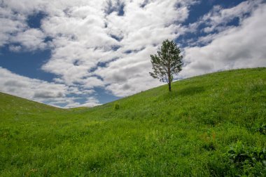 Bahar fotoğrafçılığı, çayırlar, tarlalar, vadiler, tepeler, kırsal alanlar. Dik yamaçlı, derin, dar bir vadi..