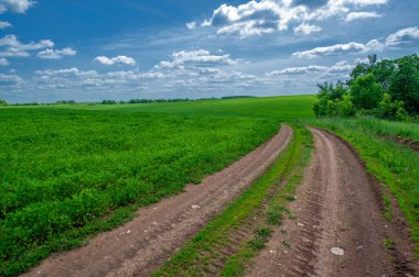 Yaz manzarası, yeşil yonca, çiftlik hayvanları, toprak yol, yolu oluşturan sarı kil.