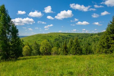 Yaz fotoğrafları, tepeler, tepeler, huş ağaçları dağların yamaçlarında yetişir. Yamaç boyunca dönen toprak bir yol, sıcak yaz günleri.