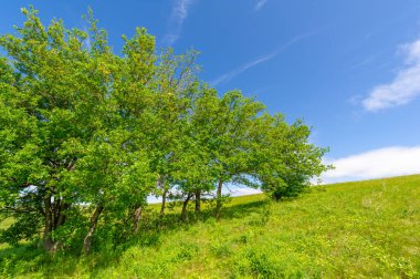 Bahar fotoğrafçılığı, çayırlar, tarlalar, vadiler, tepeler, kırsal alanlar. Dik yamaçlı, derin, dar bir vadi..