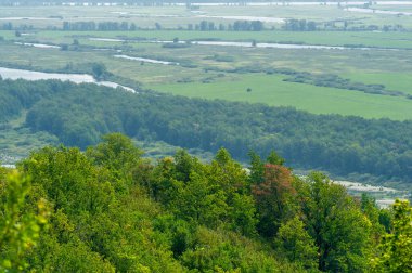 Yaz fotoğrafı: Avrupa 'nın manzarası, çayır ağaçları sonbahar renklerine hazırlanıyor