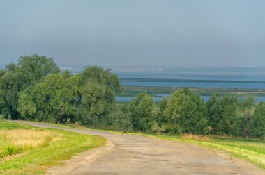 Yaz manzarası, yerel yol, Ağustos sonu. Dünyanın Avrupalı parçası