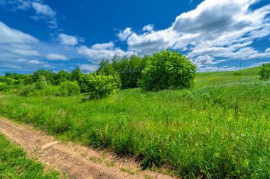 İlkbahar fotoğrafçılığı, manzara, toprak yol ya da dünyanın içinden geçtiği yol.