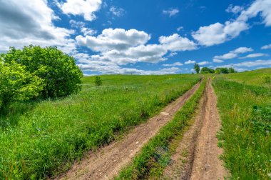 İlkbahar fotoğrafçılığı, manzara, toprak yol ya da dünyanın içinden geçtiği yol.