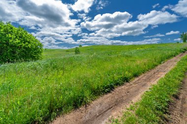 İlkbahar fotoğrafçılığı, manzara, toprak yol ya da dünyanın içinden geçtiği yol.