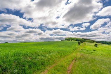 İlkbahar fotoğrafçılığı, manzara, toprak yol ya da dünyanın içinden geçtiği yol.