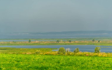 Yaz manzarası. Dünyanın Avrupa bölgesindeki bir nehir. Güneşli sıcak bir gün. Yeşil ağaçlar, çimenler. Mavi gökyüzü küçük bir bulut örtüsüyle.