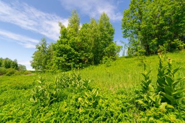 Bahar fotoğrafçılığı, bulutlu gökyüzü manzarası. Su çayırları, sel yatakları, vadiler. Nehre yakın bir yerde, çoğunlukla nehir çökeltilerinden oluşmuş ve sele maruz kalmış bir alan.