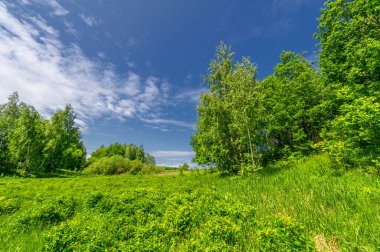Bahar fotoğrafçılığı, bulutlu gökyüzü manzarası. Su çayırları, sel yatakları, vadiler. Nehre yakın bir yerde, çoğunlukla nehir çökeltilerinden oluşmuş ve sele maruz kalmış bir alan.