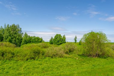 Bahar fotoğrafçılığı, bulutlu gökyüzü manzarası. Su çayırları, sel yatakları, vadiler. Nehre yakın bir yerde, çoğunlukla nehir çökeltilerinden oluşmuş ve sele maruz kalmış bir alan.