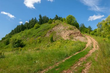 Yaz fotoğrafları, tepeler, tepeler, huş ağaçları dağların yamaçlarında yetişir. Yamaç boyunca dönen toprak bir yol, sıcak yaz günleri.