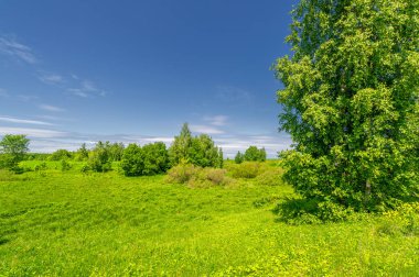 Bahar fotoğrafçılığı, bulutlu gökyüzü manzarası. Su çayırları, sel yatakları, vadiler. Nehre yakın bir yerde, çoğunlukla nehir çökeltilerinden oluşmuş ve sele maruz kalmış bir alan.