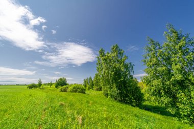 Bahar fotoğrafçılığı, bulutlu gökyüzü manzarası. Su çayırları, sel yatakları, vadiler. Nehre yakın bir yerde, çoğunlukla nehir çökeltilerinden oluşmuş ve sele maruz kalmış bir alan.