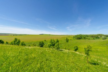 Yaz manzarası, çayır tarlaları, vadiler, çam ağaçları fındık ağacı, kır çiçekleri, dünyanın Avrupa bölgesi.