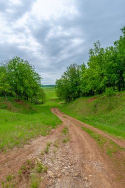 İlkbahar fotoğrafçılığı, kırsal alan, genç buğday tarlalarının arasından geçen toprak yol, bir yerden diğerine uzanan geniş bir yol, özellikle araçların kullanabileceği özel hazırlanmış bir yüzeye sahip olan bir yol.