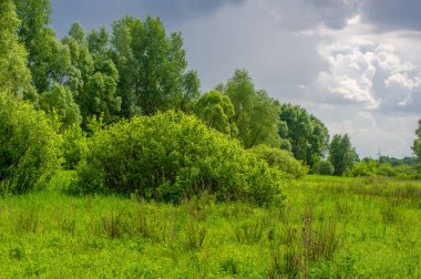 Yaz manzarası, gök gürültülü bulutlar, mavi gökyüzü, sel basmış çayır tarlaları, yaz renklerinin kokusu ve çeşitli kır çiçekleri.
