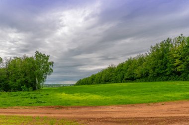 İlkbahar fotoğrafçılığı, kırsal alan, genç buğday tarlalarının arasından geçen toprak yol, bir yerden diğerine uzanan geniş bir yol, özellikle araçların kullanabileceği özel hazırlanmış bir yüzeye sahip olan bir yol.