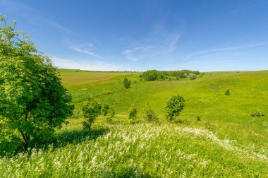 Yaz manzarası, çayır tarlaları, vadiler, çam ağaçları fındık ağacı, kır çiçekleri, dünyanın Avrupa bölgesi.