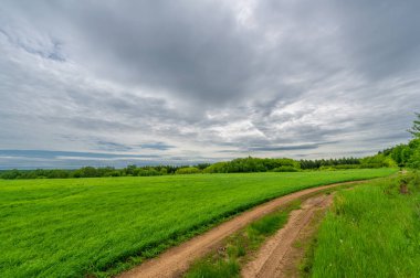 İlkbahar fotoğrafçılığı, kırsal alan, genç buğday tarlalarının arasından geçen toprak yol, bir yerden diğerine uzanan geniş bir yol, özellikle araçların kullanabileceği özel hazırlanmış bir yüzeye sahip olan bir yol.