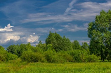 Yaz manzarası, gök gürültülü bulutlar, mavi gökyüzü, sel basmış çayır tarlaları, yaz renklerinin kokusu ve çeşitli kır çiçekleri.